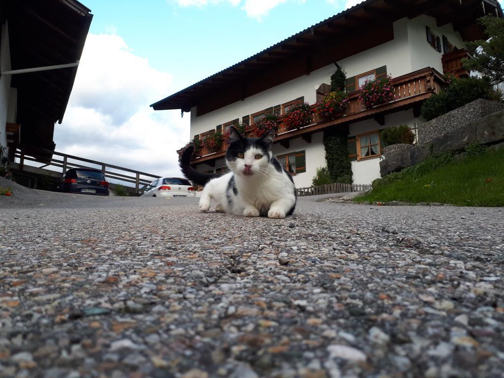 Gaestehaus Pfnuerlehen Berchtesgaden Exteriér fotografie